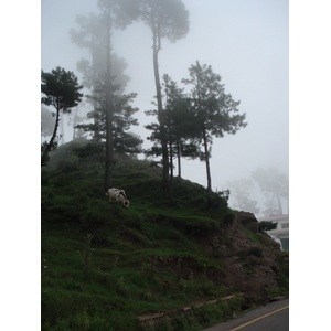 Picture Pakistan Murree 2006-08 145 - Shopping Mall Murree