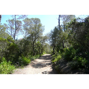 Picture France Porquerolles Island Alycastre beach 2008-05 17 - Trail Alycastre beach