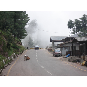 Picture Pakistan Murree 2006-08 13 - Store Murree