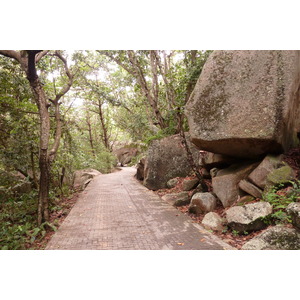 Picture Seychelles La Digue 2011-10 164 - Road La Digue