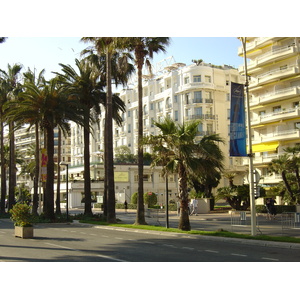 Picture France Cannes Festival 2004-05 3 - Pictures Festival