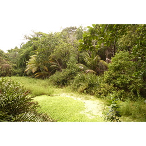 Picture Seychelles La Digue 2011-10 75 - Tourist La Digue