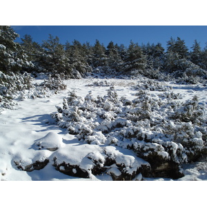 Picture France Greolieres les neiges 2007-01 14 - Journey Greolieres les neiges