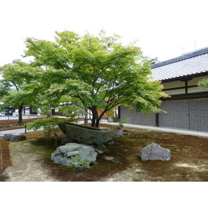 Picture Japan Kyoto Kinkakuji Temple(Golden Pavilion) 2010-06 7 - Randonee Kinkakuji Temple(Golden Pavilion)