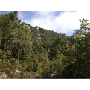 Picture France Corsica L'ospedale Forest 2012-09 15 - Visit L'ospedale Forest