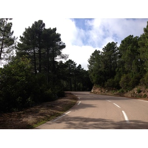 Picture France Corsica L'ospedale Forest 2012-09 65 - Sightseeing L'ospedale Forest