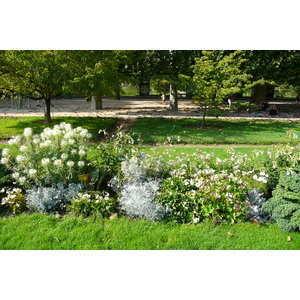 Picture France Paris Jardin des Plantes 2007-08 213 - Journey Jardin des Plantes