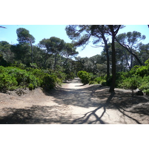 Picture France Porquerolles Island Pointe du Lequin 2008-05 71 - Picture Pointe du Lequin