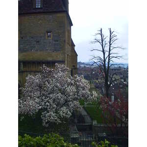 Picture Swiss Neuchatel 1999-04 1 - Photographer Neuchatel