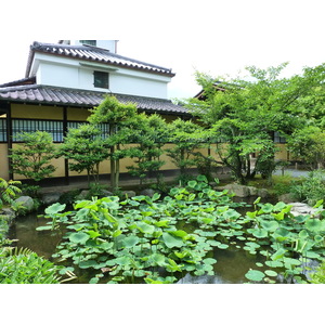 Picture Japan Kyoto Shosei en Garden 2010-06 11 - View Shosei en Garden