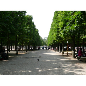 Picture France Paris Garden of Tuileries 2007-05 380 - Trail Garden of Tuileries