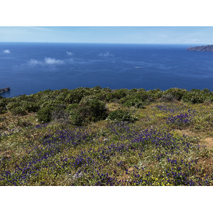 Picture France Corsica Capo Rosso 2023-05 19 - Trail Capo Rosso