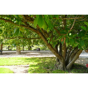 Picture France Paris Jardin des Plantes 2007-08 169 - Pictures Jardin des Plantes