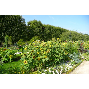 Picture France Paris Jardin des Plantes 2007-08 21 - Tourist Places Jardin des Plantes