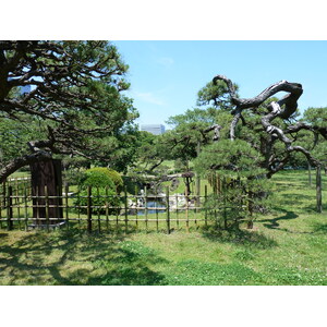 Picture Japan Tokyo Hama rikyu Gardens 2010-06 7 - Picture Hama rikyu Gardens