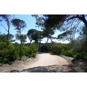 Picture France Porquerolles Island Plaine de la courtade 2008-05 1 - Photographer Plaine de la courtade