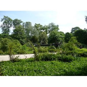 Picture France Paris Garden of Tuileries 2007-05 10 - Sight Garden of Tuileries