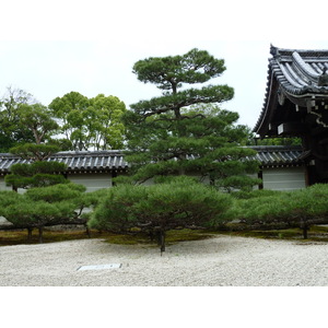 Picture Japan Kyoto Ninna ji imperial Residence 2010-06 22 - Road Ninna ji imperial Residence