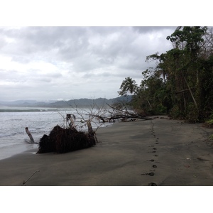 Picture Costa Rica Cahuita 2015-03 146 - Visit Cahuita