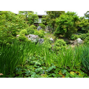 Picture Japan Kyoto Shosei en Garden 2010-06 81 - Sight Shosei en Garden