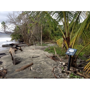 Picture Costa Rica Cahuita 2015-03 160 - Trips Cahuita