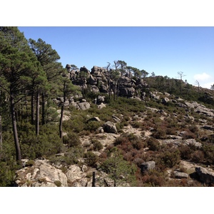 Picture France Corsica L'ospedale Forest 2012-09 50 - Tourist L'ospedale Forest