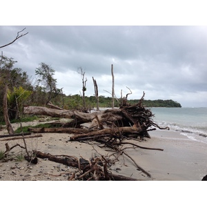 Picture Costa Rica Cahuita 2015-03 10 - Trail Cahuita