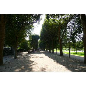 Picture France Paris Jardin des Plantes 2007-08 228 - Tourist Attraction Jardin des Plantes