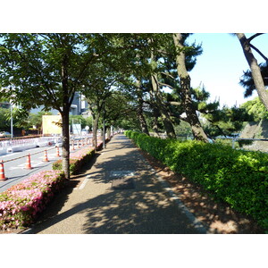 Picture Japan Tokyo Imperial Palace 2010-06 34 - Photographers Imperial Palace