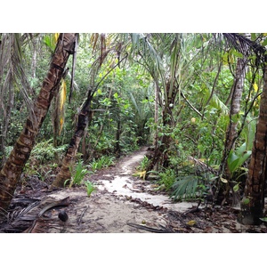 Picture Costa Rica Cahuita 2015-03 48 - Sightseeing Cahuita