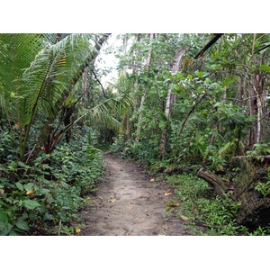 Picture Costa Rica Cahuita 2015-03 28 - Tourist Places Cahuita