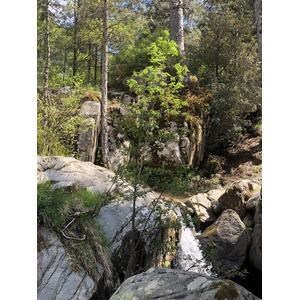 Picture France Corsica Aitone Forest 2021-06 34 - Views Aitone Forest