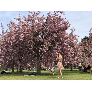 Picture France Parc de Sceaux 2019-04 29 - Flight Parc de Sceaux