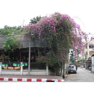 Picture Thailand Chiang Mai Inside Canal Arrak Road(Canal) 2006-04 15 - Car Arrak Road(Canal)