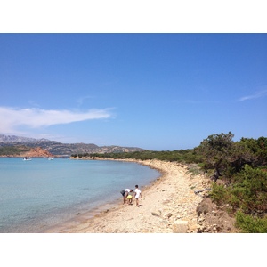 Picture Italy Sardinia Capo Coda Cavallo 2015-06 50 - Discover Capo Coda Cavallo