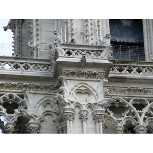 Picture France Paris Notre Dame 2007-05 31 - Photos Notre Dame