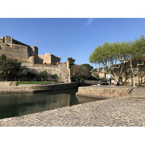 Picture France Collioure 2018-04 230 - Photos Collioure