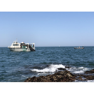 Picture France Collioure 2018-04 202 - Photographer Collioure