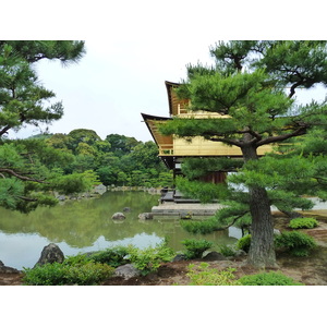 Picture Japan Kyoto Kinkakuji Temple(Golden Pavilion) 2010-06 70 - Perspective Kinkakuji Temple(Golden Pavilion)