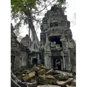 Picture Cambodia Siem Reap Ta Prohm 2023-01 94 - Travels Ta Prohm