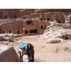 Picture Jordan Petra 2004-10 70 - Sightseeing Petra