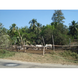 Picture Thailand Phitsanulok Jomthong Road 2008-01 28 - Sightseeing Jomthong Road