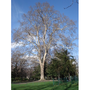 Picture France Paris Monceau Garden 2006-03 1 - View Monceau Garden