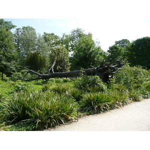 Picture France Paris Garden of Tuileries 2007-05 260 - Road Garden of Tuileries