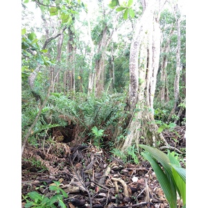 Picture Costa Rica Cahuita 2015-03 223 - Tourist Attraction Cahuita