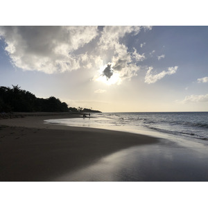 Picture Guadeloupe La Perle Beach 2021-02 87 - Photos La Perle Beach