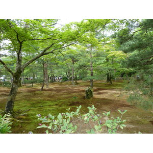 Picture Japan Kyoto Kinkakuji Temple(Golden Pavilion) 2010-06 9 - Pictures Kinkakuji Temple(Golden Pavilion)