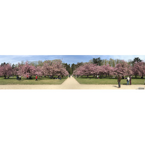 Picture France Parc de Sceaux 2019-04 52 - Road Parc de Sceaux