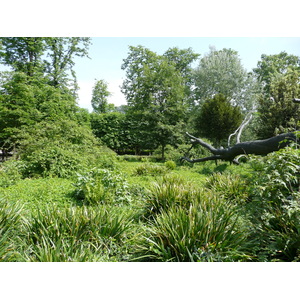 Picture France Paris Garden of Tuileries 2007-05 300 - Picture Garden of Tuileries