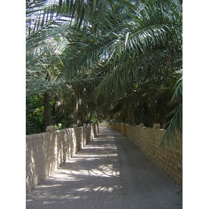 Picture United Arab Emirates Al Ain Al Ain Oasis 2005-03 26 - Tourist Attraction Al Ain Oasis